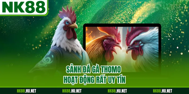 Sảnh đá gà Thomo hoạt động rất uy tín